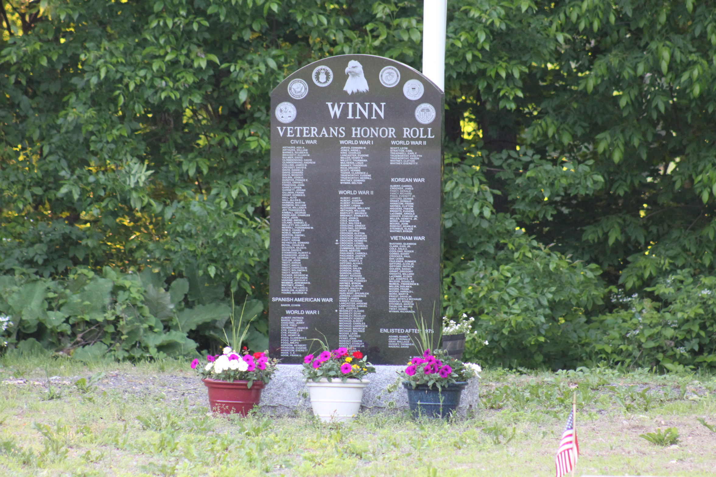IMG_4009 Town of Winn Maine Sign